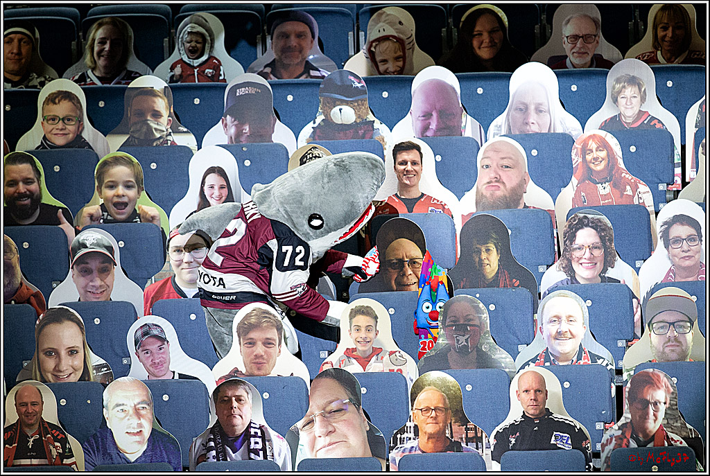 PENNY DEL;  Koelner Haie - Fischtown Pinguins Bremerhaven; Koeln, 12.02.2021